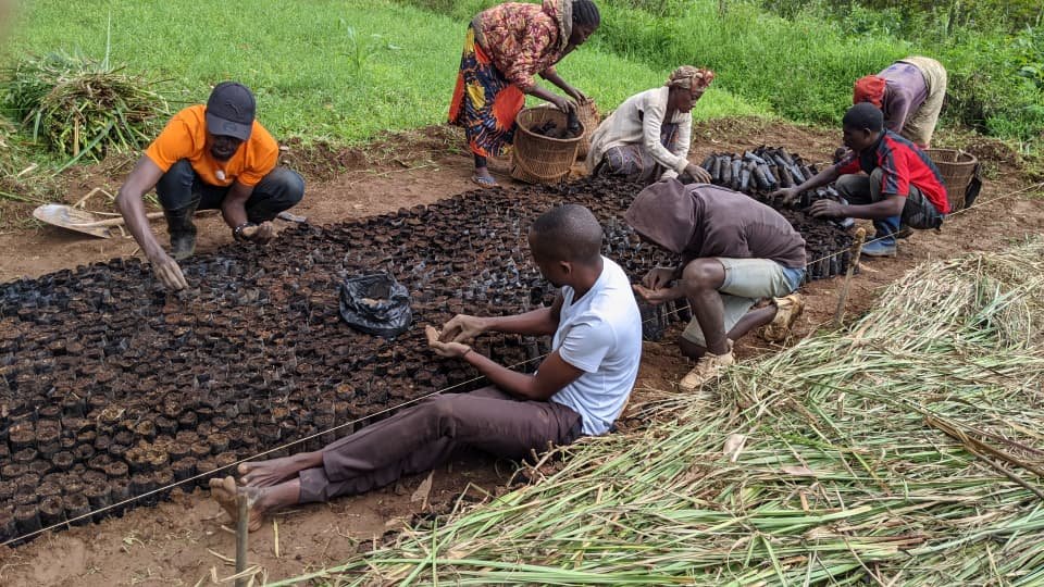Ferme agropastorale de Mulumemunene