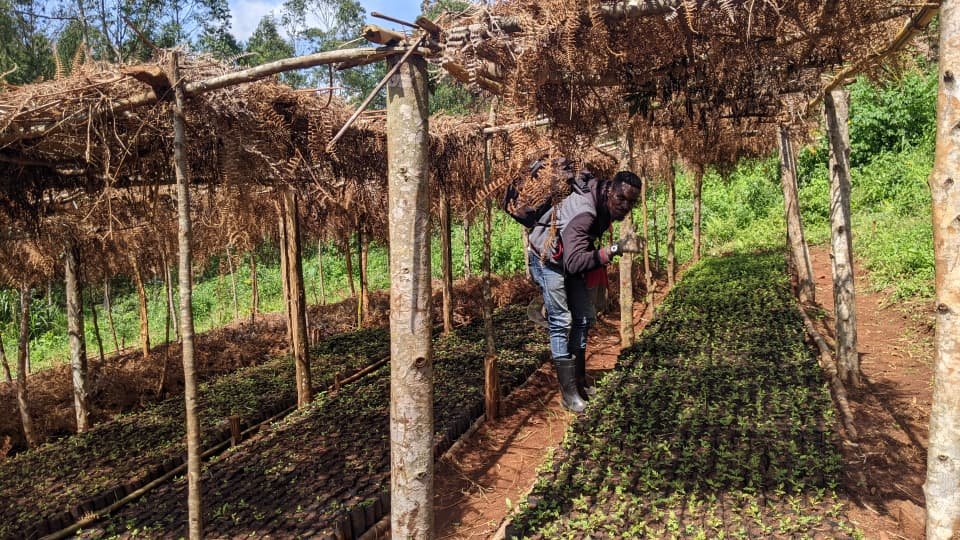 Ferme agropastorale de Mulumemunene