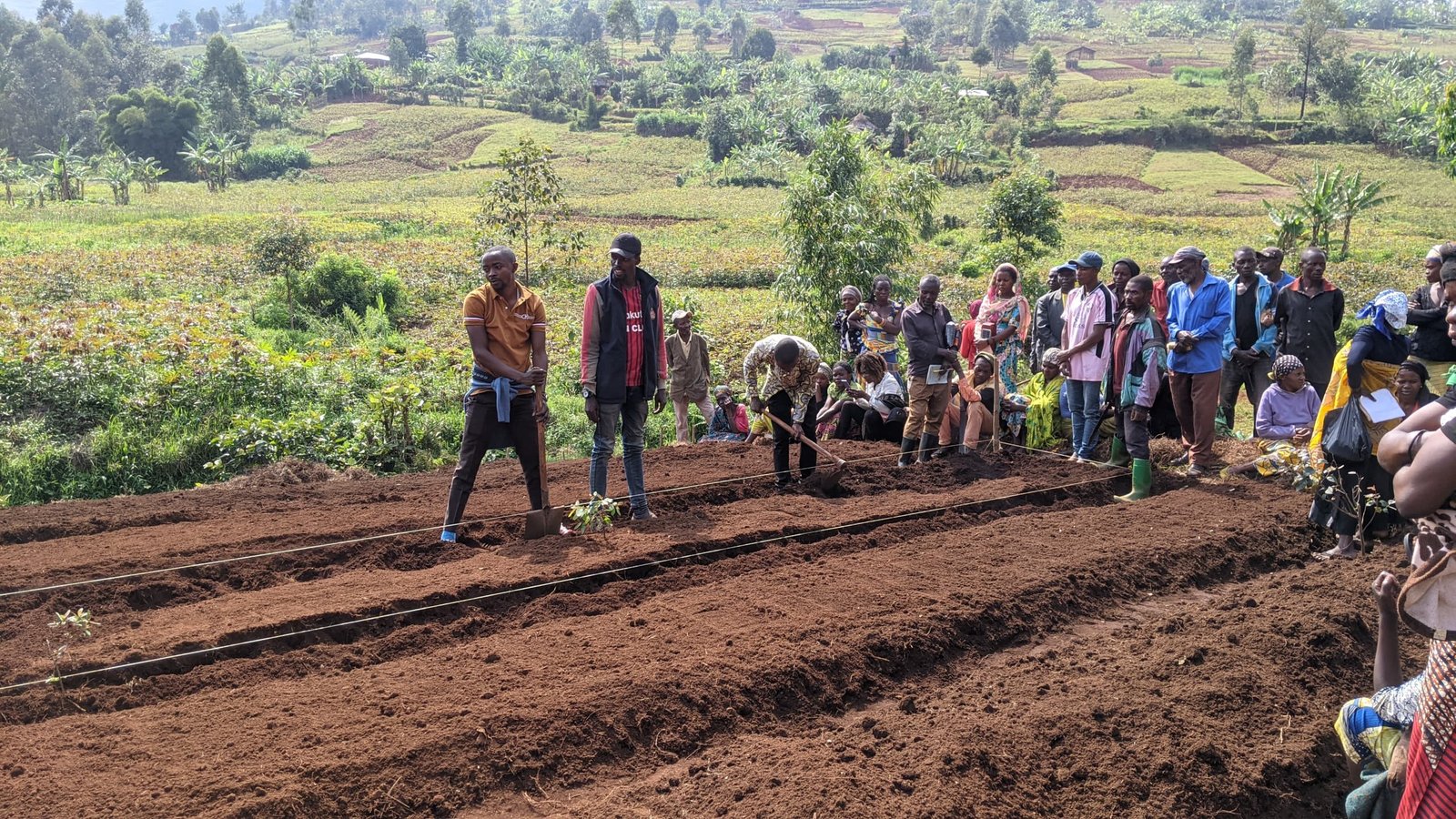 Ferme agropastorale de Mulumemunene